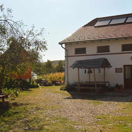 Pensiune Agroturistica Hanna Ocland Zewnętrze zdjęcie