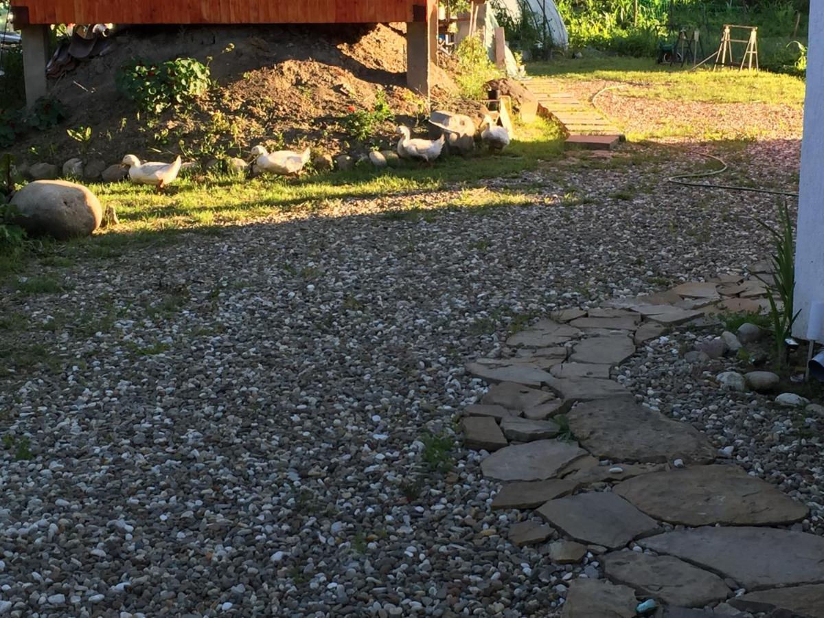 Pensiune Agroturistica Hanna Ocland Zewnętrze zdjęcie