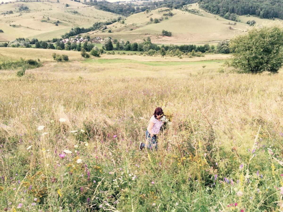 Pensiune Agroturistica Hanna Ocland Zewnętrze zdjęcie